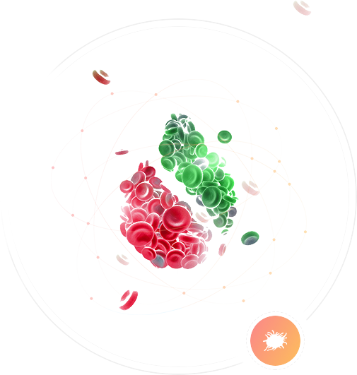 Gene detection of cardiovascular disease